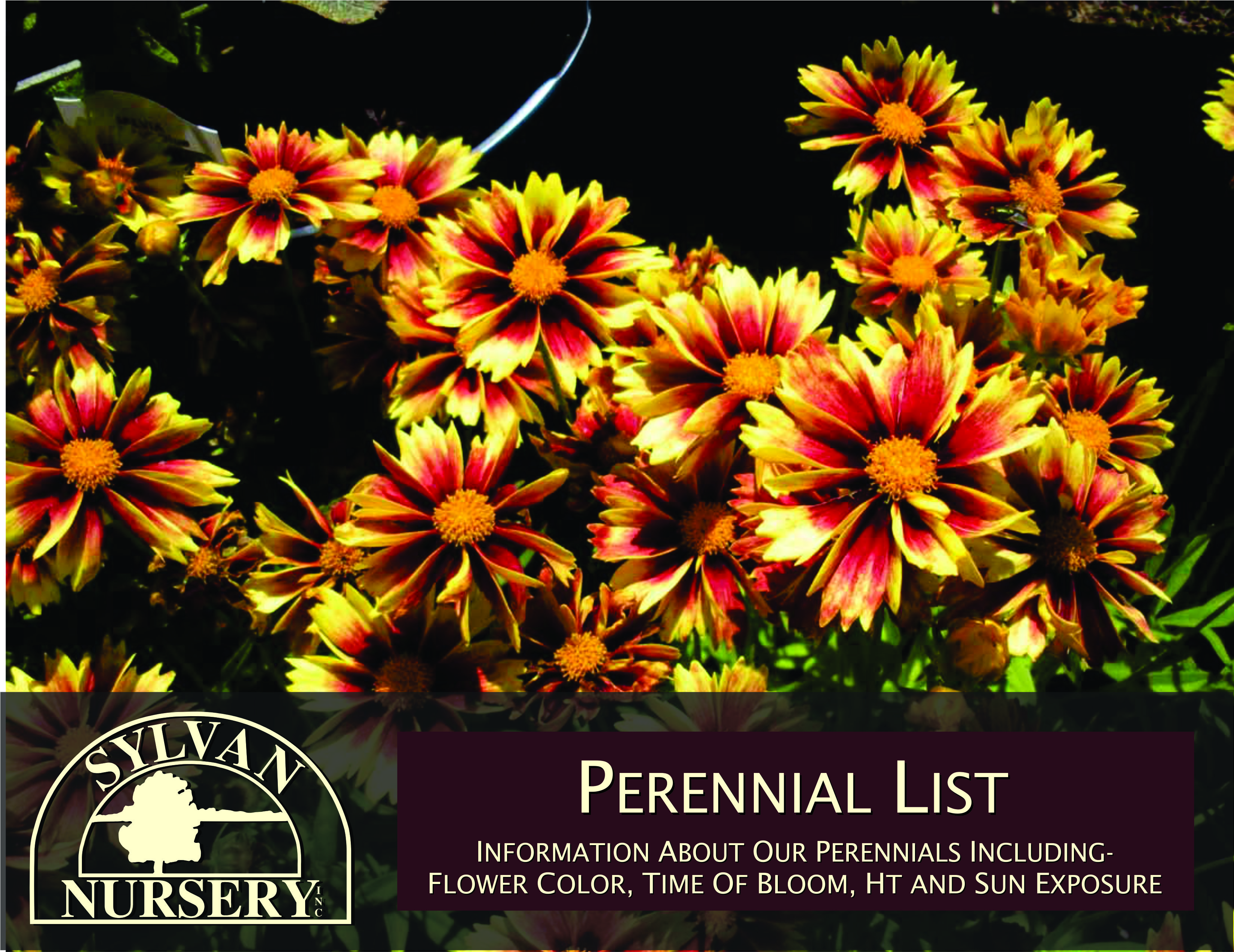 Catalog Sylvan Nursery Inc
